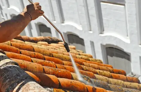Démoussage de toiture à Tresses